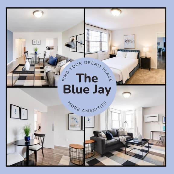 The Blue Jay 
